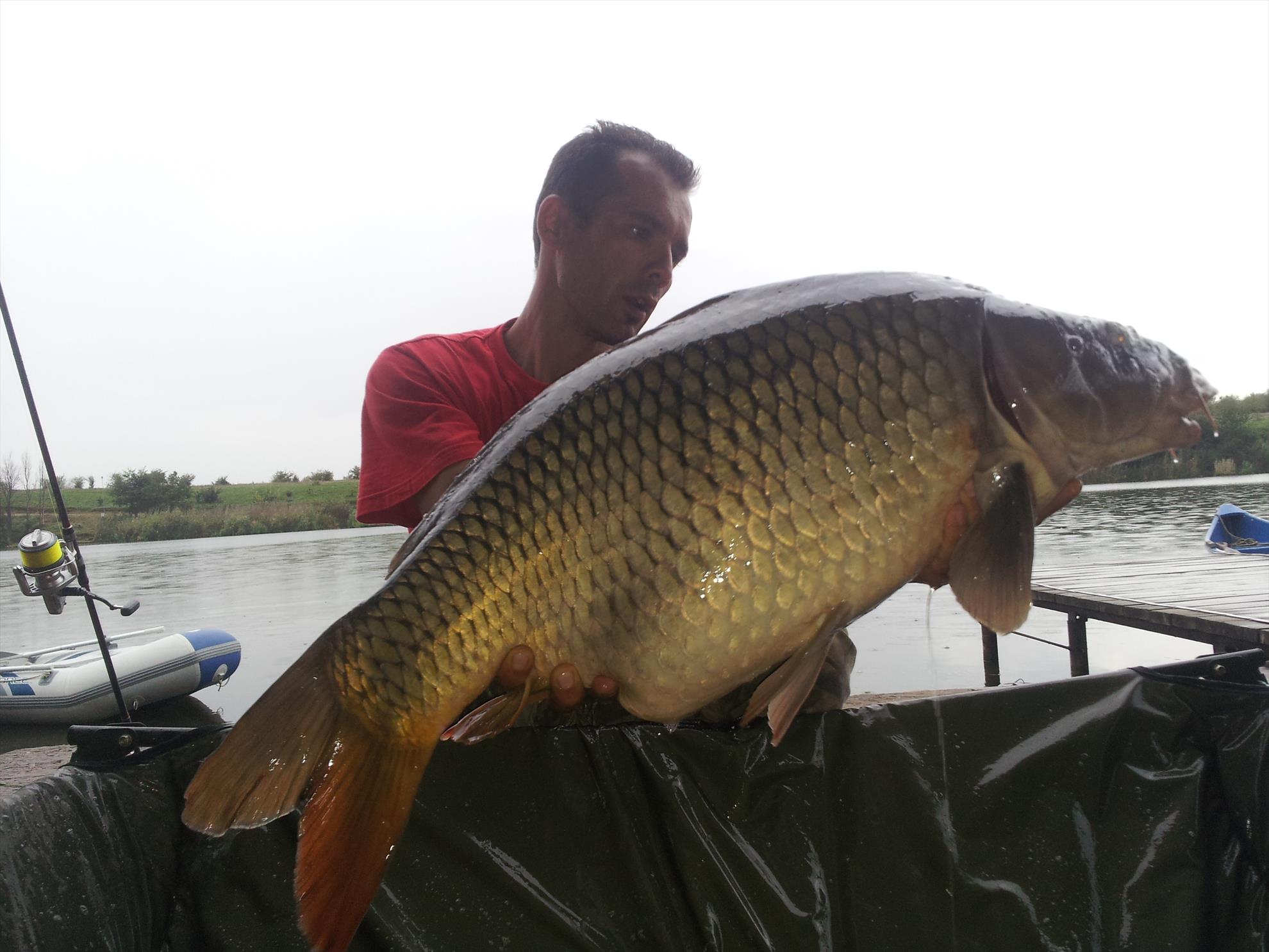 Tancabesti 31 august - 7 septembrie 2014 - 20140903183039.jpg